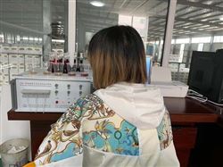 甘肃普莱斯德绝热材料-水泥元素分析仪