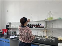 锂云母检测仪器/氧化锂快速分析仪