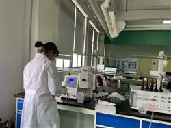 玄武岩多元素快速分析仪
