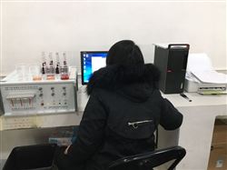 元素分析仪-甘肃恒鑫岩棉新材料有限公司