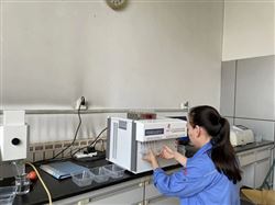 陶瓷砖化学成分分析仪器