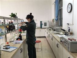 锂元素检测仪器（包调试培训操作简单）