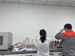 智能锂矿石分析仪 国产精选